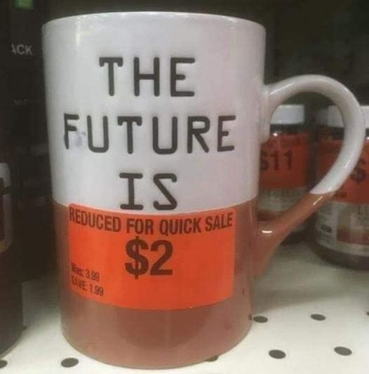 the future is reduced for quick sale.jpg